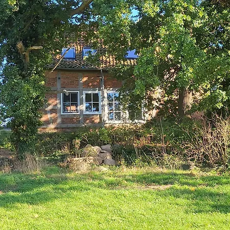 Altes Backhaus Bauernhof Vogel Rohrsen